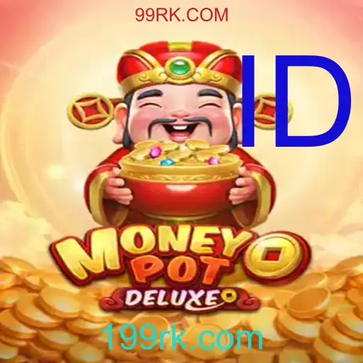 MoneyPotDELUXE